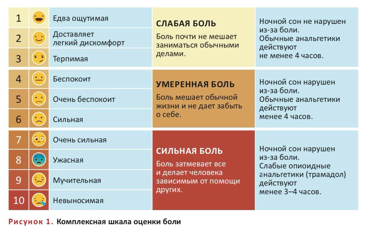 Карта локализации боли в животе: эпигастрий, подреберья, околопупочная, надлобковая и подвздошные области
