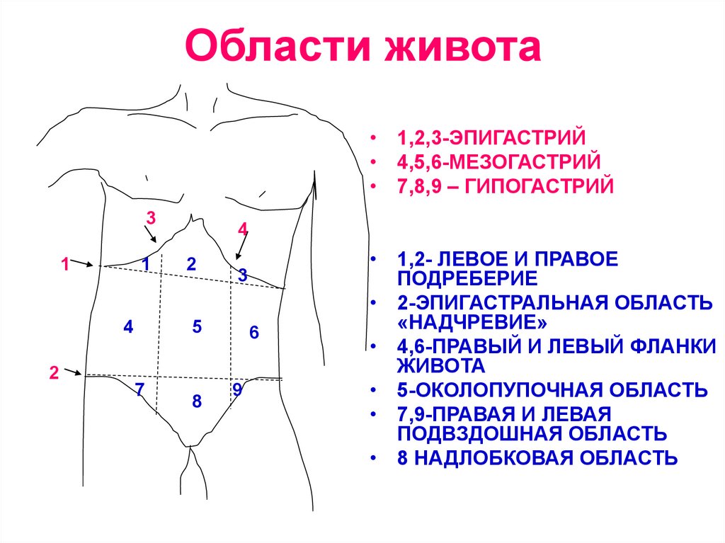 Визуальная аналоговая шкала боли (ВАШ) от 0 до 10 с описаниями интенсивности